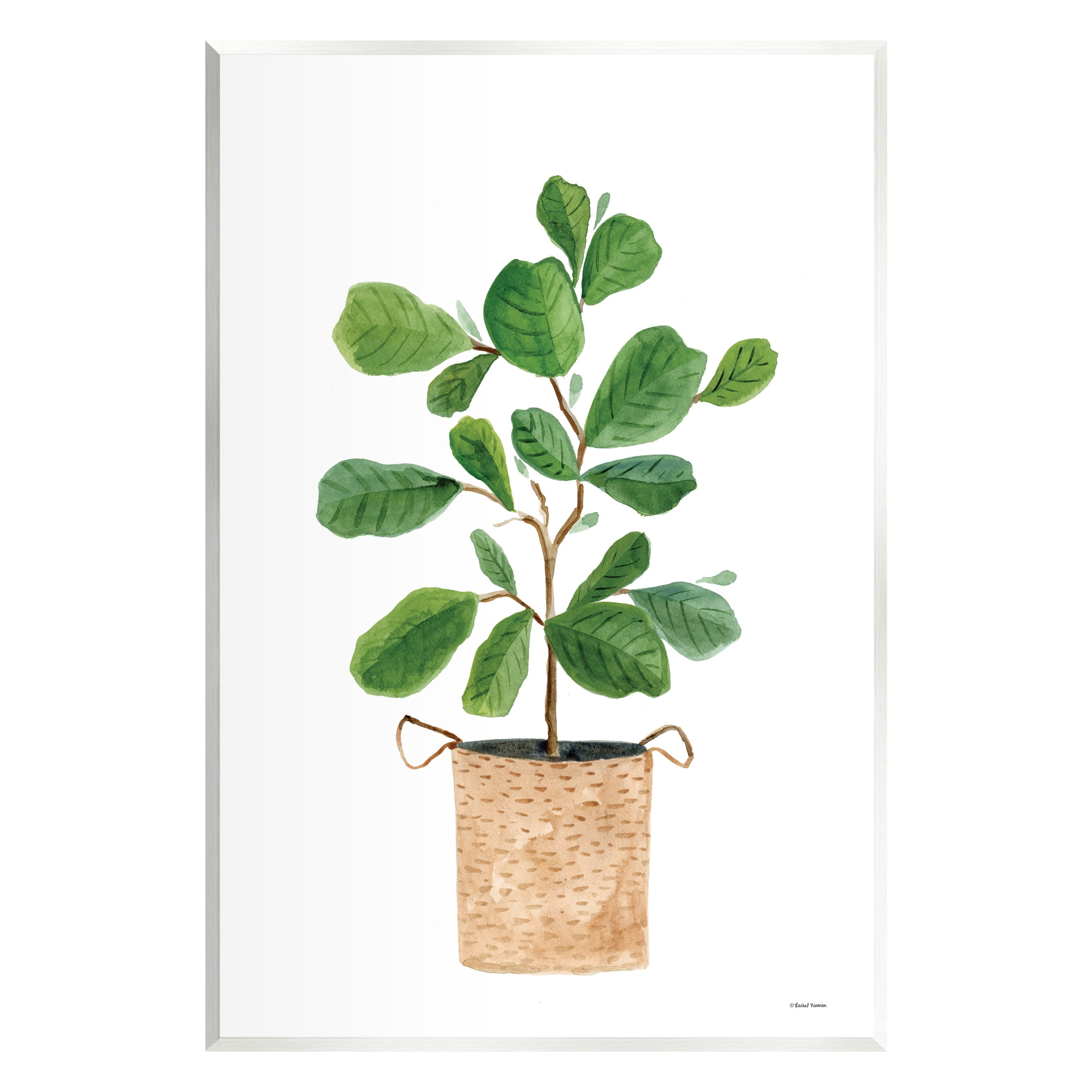 Stupell Casual House Plant Botanicals Botanical & Floral Painting Wall Plaque Unframed Art Print Wall Art