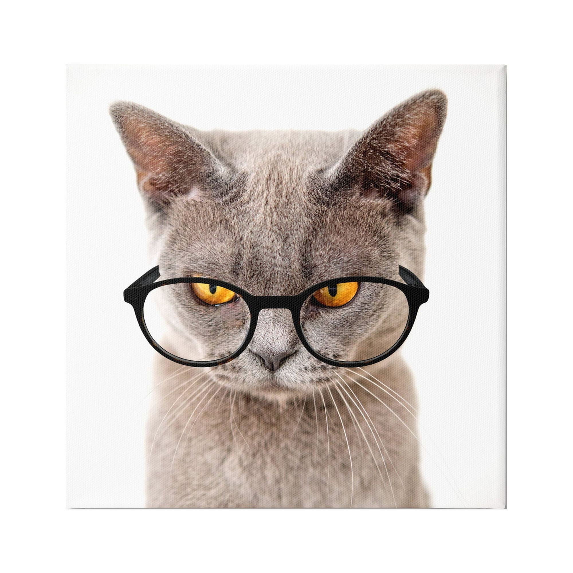 Stupell Cat Face Hipster Glasses Animals & Insects Painting Gallery Wrapped Canvas Print Wall Art