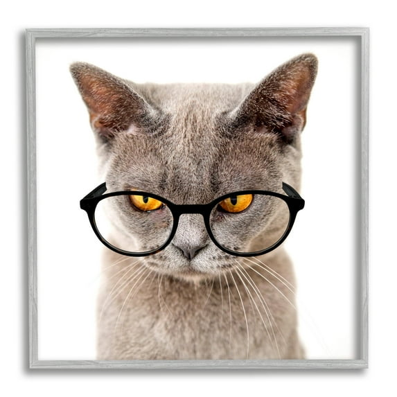 Stupell Cat Face Hipster Glasses Animals & Insects Painting Gray Framed Art Print Wall Art