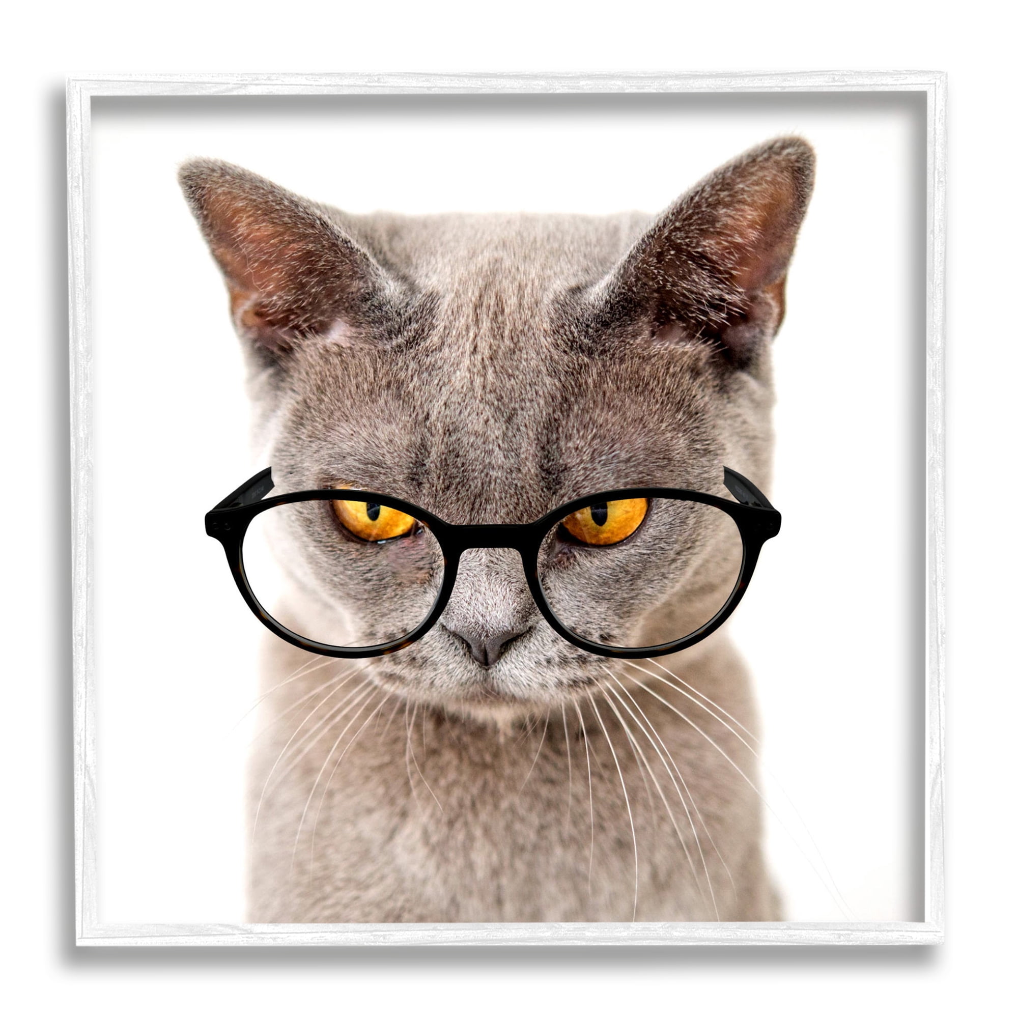 Stupell Cat Face Hipster Glasses Animals & Insects Painting White Framed Art Print Wall Art