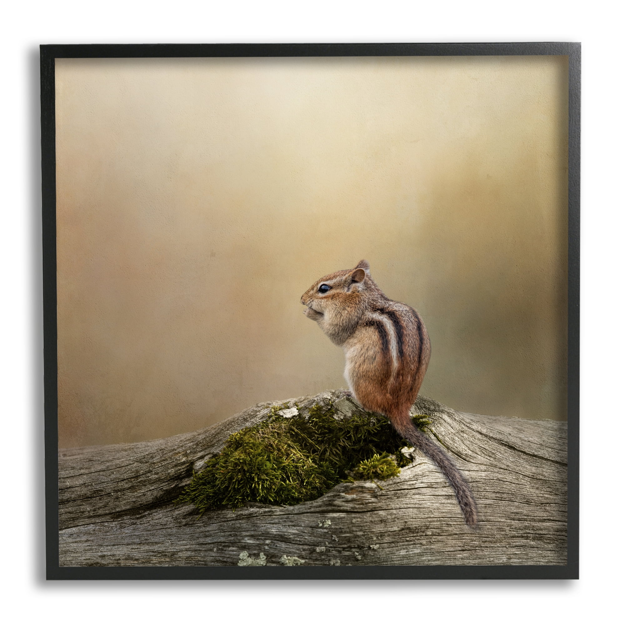 Stupell Chipmunk Peaceful Woodland Nature Animals & Insects Photography Black Framed Art Print Wall Art