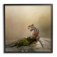 thumbnail image 1 of Stupell Chipmunk Peaceful Woodland Nature Animals & Insects Photography Black Framed Art Print Wall Art, 1 of 7