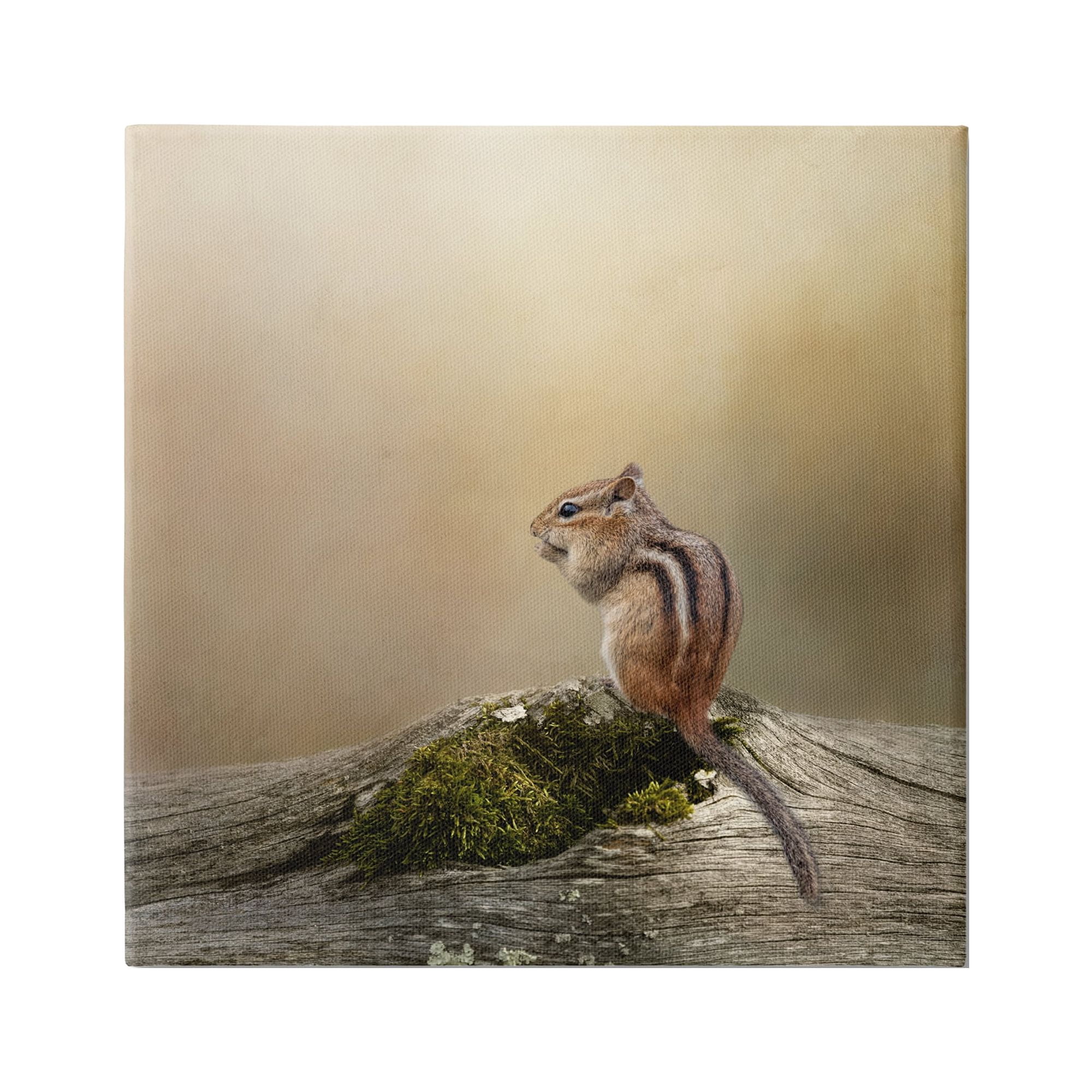 Stupell Chipmunk Peaceful Woodland Nature Animals & Insects Photography Gallery Wrapped Canvas Print Wall Art