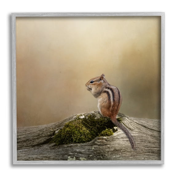 Stupell Chipmunk Peaceful Woodland Nature Animals & Insects Photography Gray Framed Art Print Wall Art