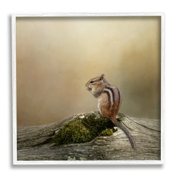 Stupell Chipmunk Peaceful Woodland Nature Animals & Insects Photography White Framed Art Print Wall Art
