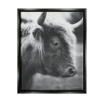 Stupell Close Up Cattle Face Photography Animals & Insects Photography Black Floater Framed Art Print Wall Art