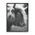 thumbnail image 1 of Stupell Close Up Cattle Face Photography Animals & Insects Photography Black Framed Art Print Wall Art, 1 of 1
