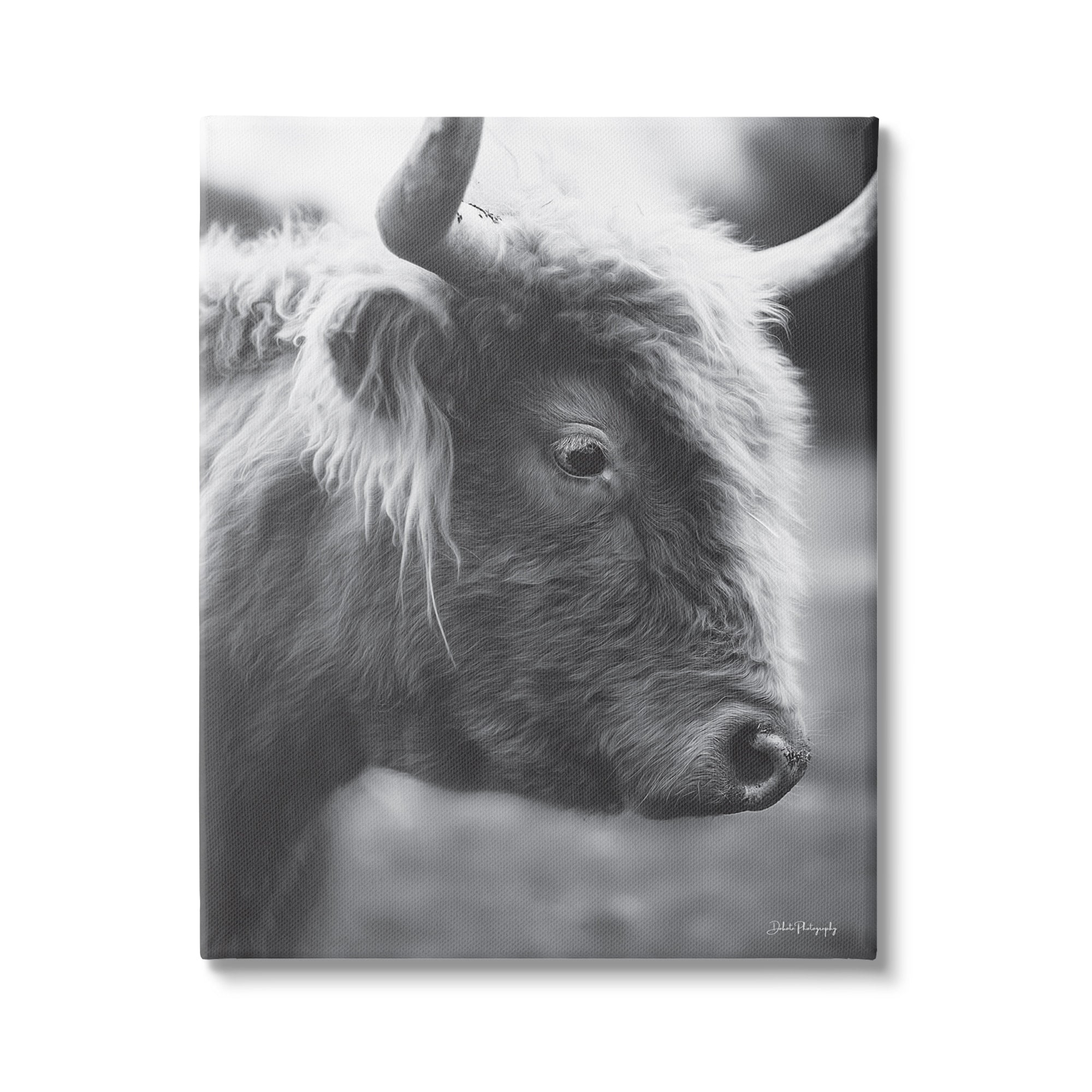 Stupell Close Up Cattle Face Photography Animals & Insects Photography Gallery Wrapped Canvas Print Wall Art