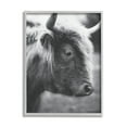 thumbnail image 1 of Stupell Close Up Cattle Face Photography Animals & Insects Photography Gray Framed Art Print Wall Art, 1 of 7