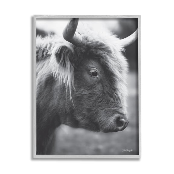 Stupell Close Up Cattle Face Photography Animals & Insects Photography Gray Framed Art Print Wall Art