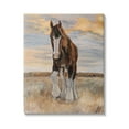 thumbnail image 1 of Stupell Colt Horse Farmhouse Animal Animals & Insects Painting Gallery Wrapped Canvas Print Wall Art, 1 of 5