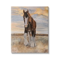 Stupell Colt Horse Farmhouse Animal Animals & Insects Painting Gallery Wrapped Canvas Print Wall Art