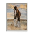thumbnail image 1 of Stupell Colt Horse Farmhouse Animal Animals & Insects Painting Gray Framed Art Print Wall Art, 1 of 7
