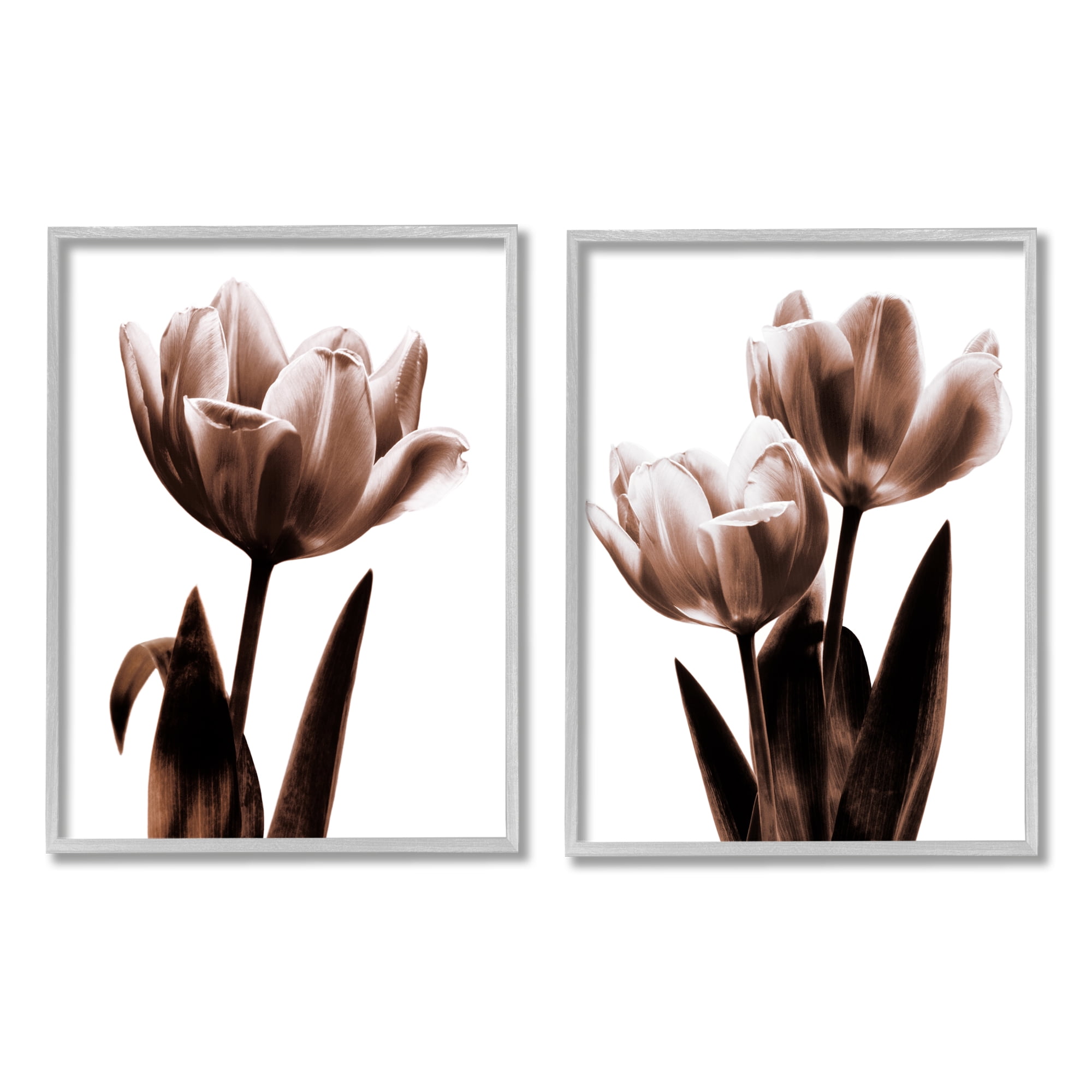 Stupell Contemporary Tulips Photography Botanical & Floral Photography Gray Framed Art Print Wall Art, Set of 2