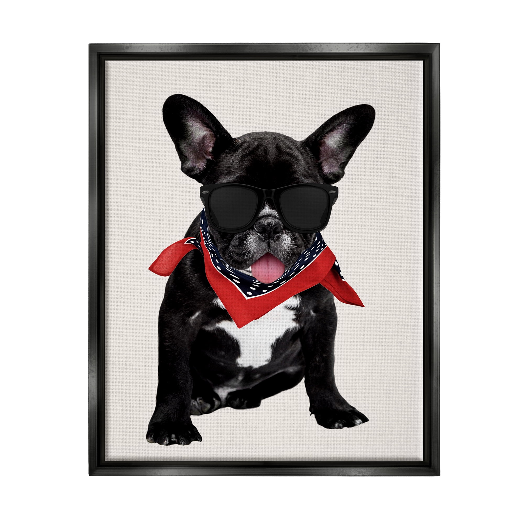 Stupell Cool Dude French Bulldog Pet Animals & Insects Painting Black Floater Framed Art Print Wall Art