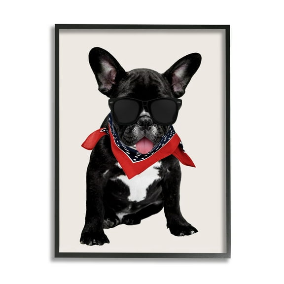 Stupell Cool Dude French Bulldog Pet Animals & Insects Painting Black Framed Art Print Wall Art