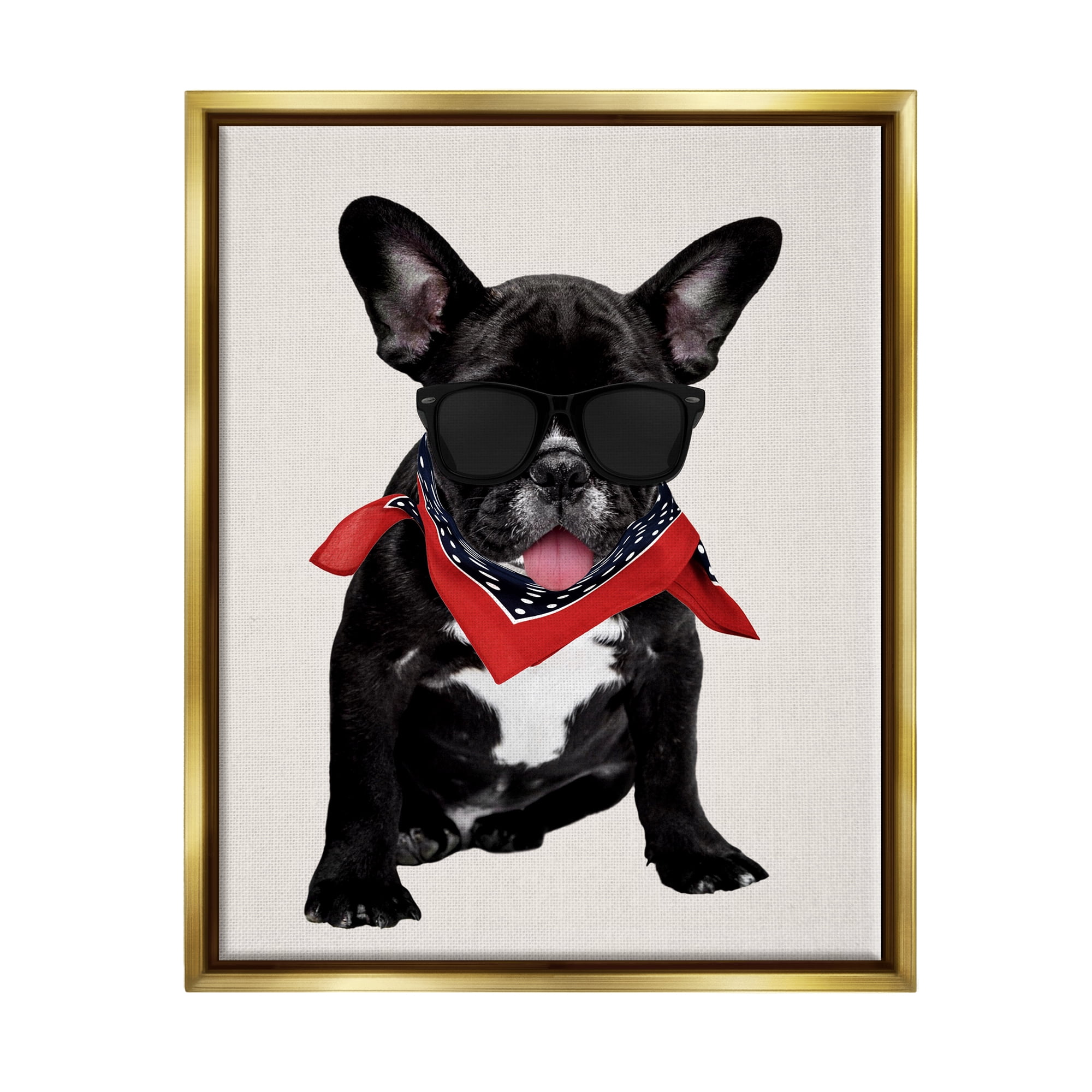Stupell Cool Dude French Bulldog Pet Animals & Insects Painting Gold Floater Framed Art Print Wall Art