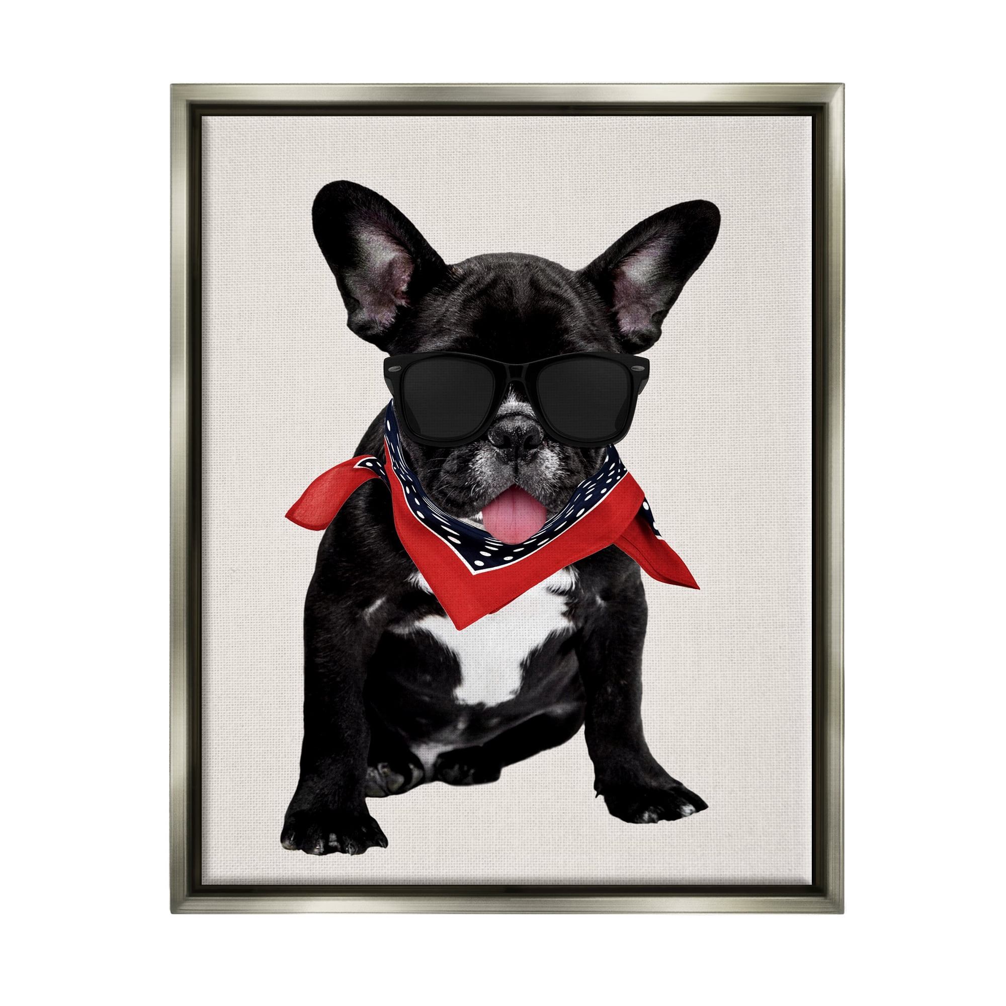 Stupell Cool Dude French Bulldog Pet Animals & Insects Painting Gray Floater Framed Art Print Wall Art