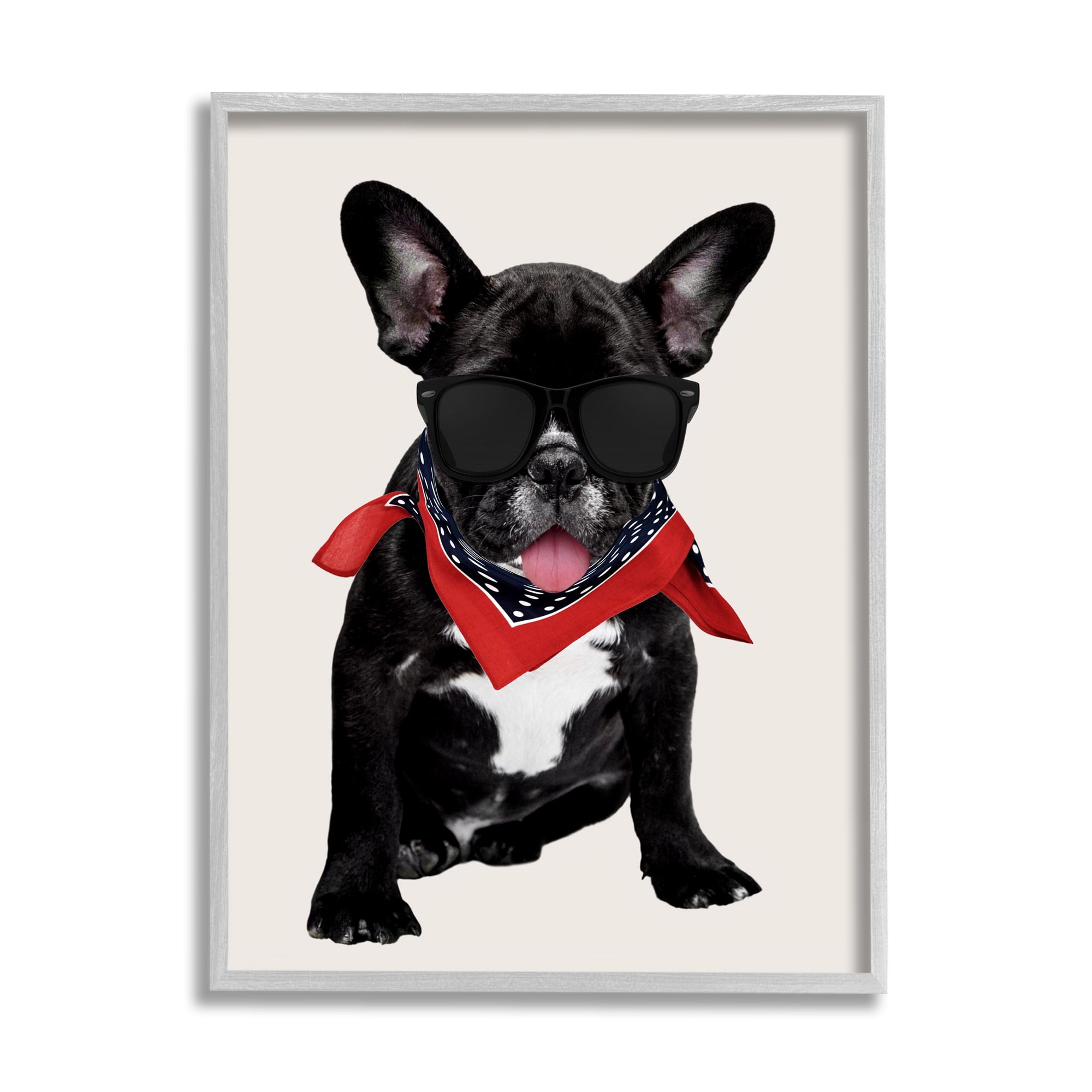 Stupell Cool Dude French Bulldog Pet Animals & Insects Painting Gray Framed Art Print Wall Art