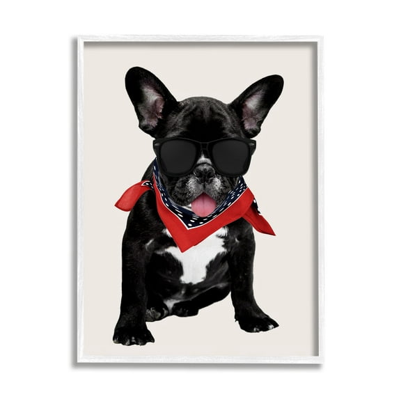 Stupell Cool Dude French Bulldog Pet Animals & Insects Painting White Framed Art Print Wall Art