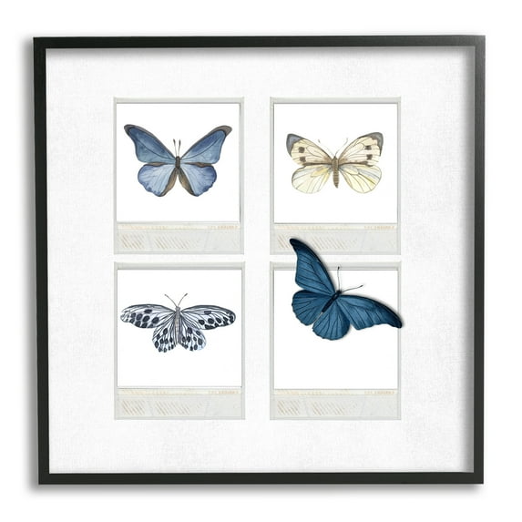 Stupell Cottage Retro Film Butterflies Animals & Insects Painting Black Framed Art Print Wall Art