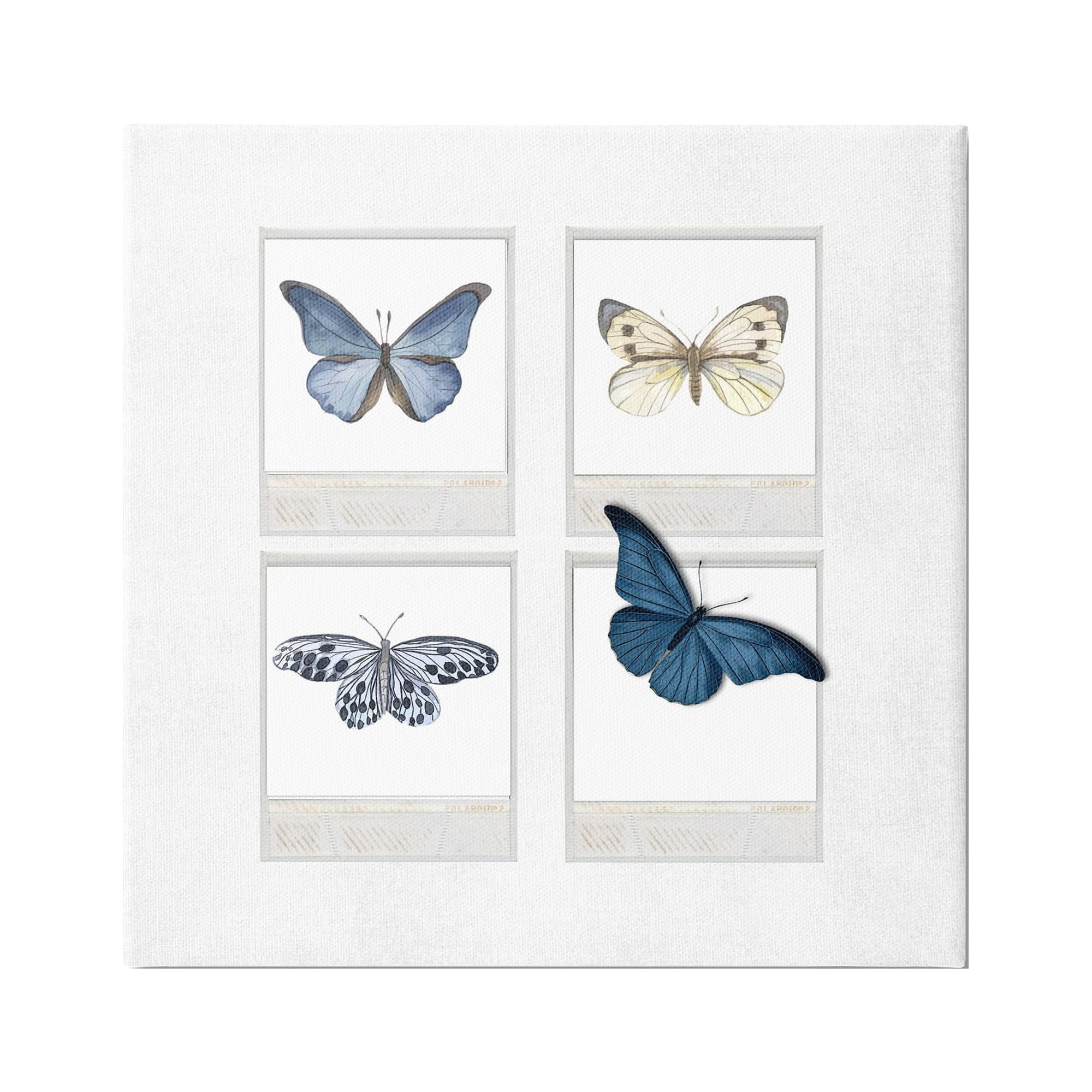 Stupell Cottage Retro Film Butterflies Animals & Insects Painting Gallery Wrapped Canvas Print Wall Art
