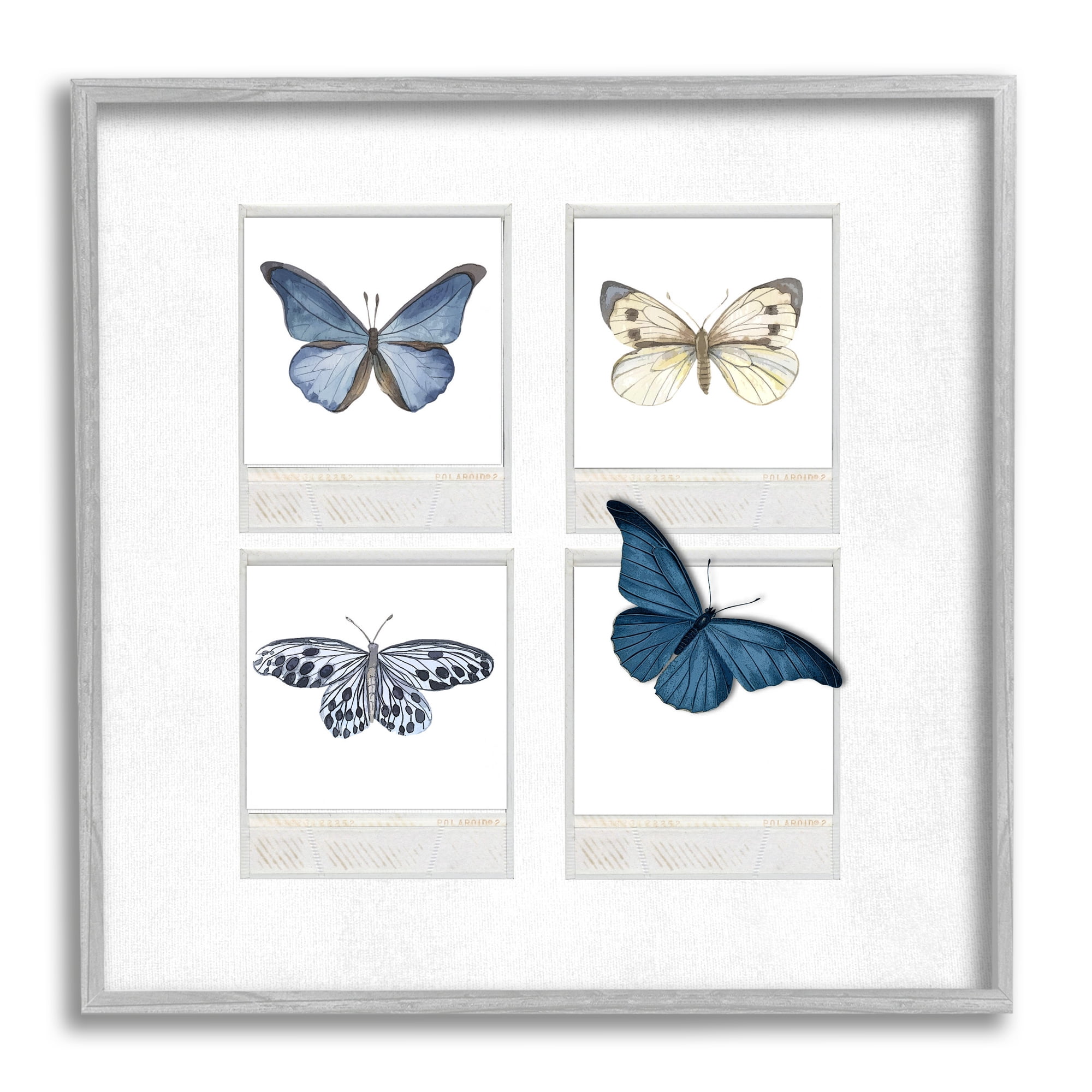 Stupell Cottage Retro Film Butterflies Animals & Insects Painting Gray Framed Art Print Wall Art