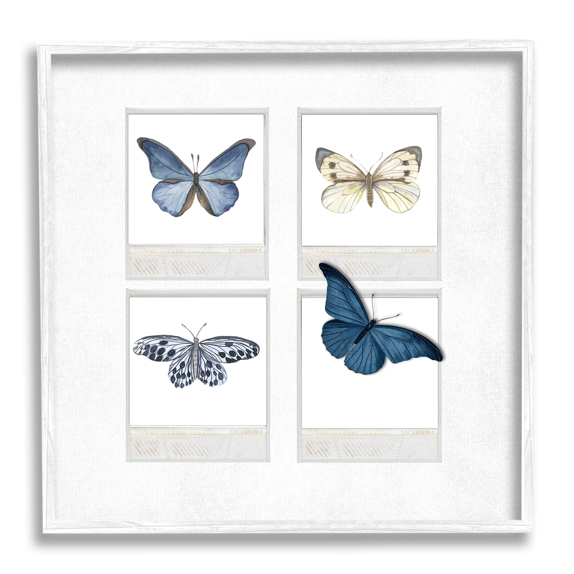 Stupell Cottage Retro Film Butterflies Animals & Insects Painting White Framed Art Print Wall Art