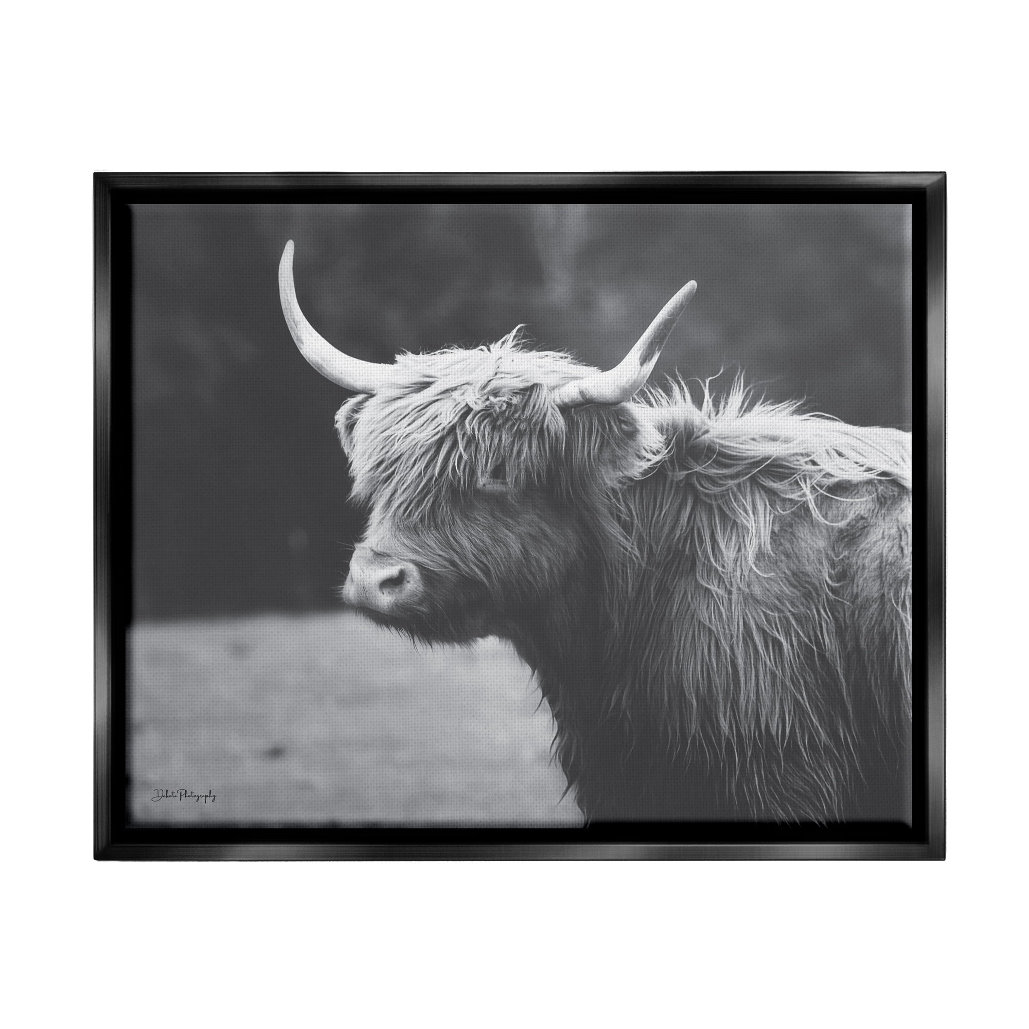 Stupell Country Cattle Highland Farm Animal Animals & Insects Photography Black Floater Framed Art Print Wall Art