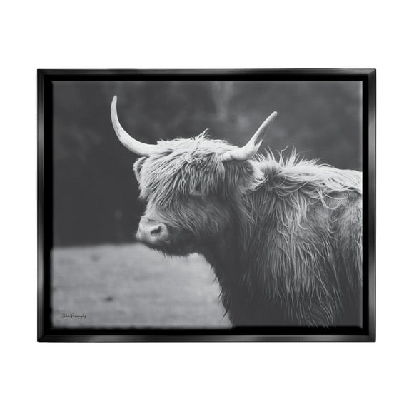 Stupell Country Cattle Highland Farm Animal Animals & Insects Photography Black Floater Framed Art Print Wall Art
