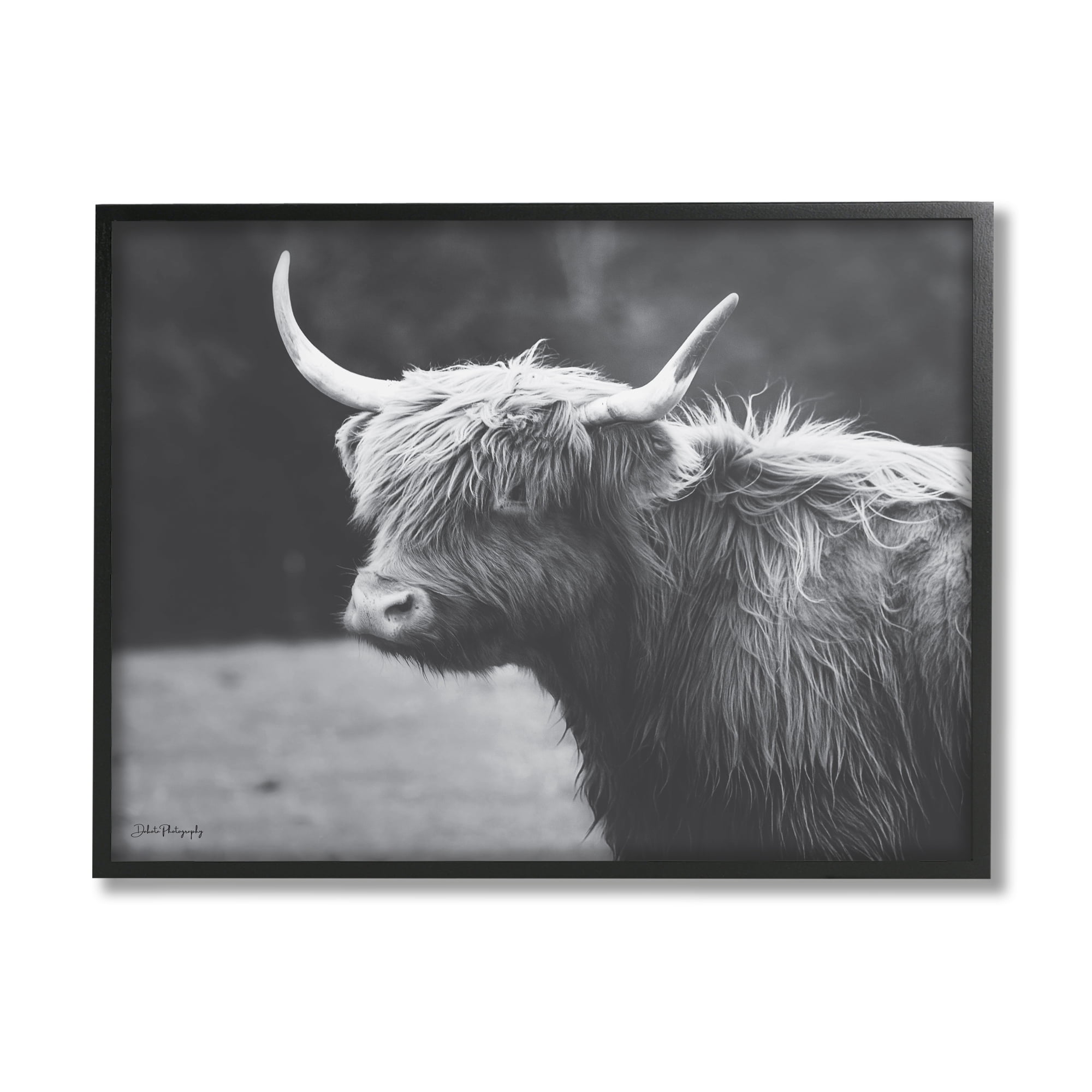 Stupell Country Cattle Highland Farm Animal Animals & Insects Photography Black Framed Art Print Wall Art