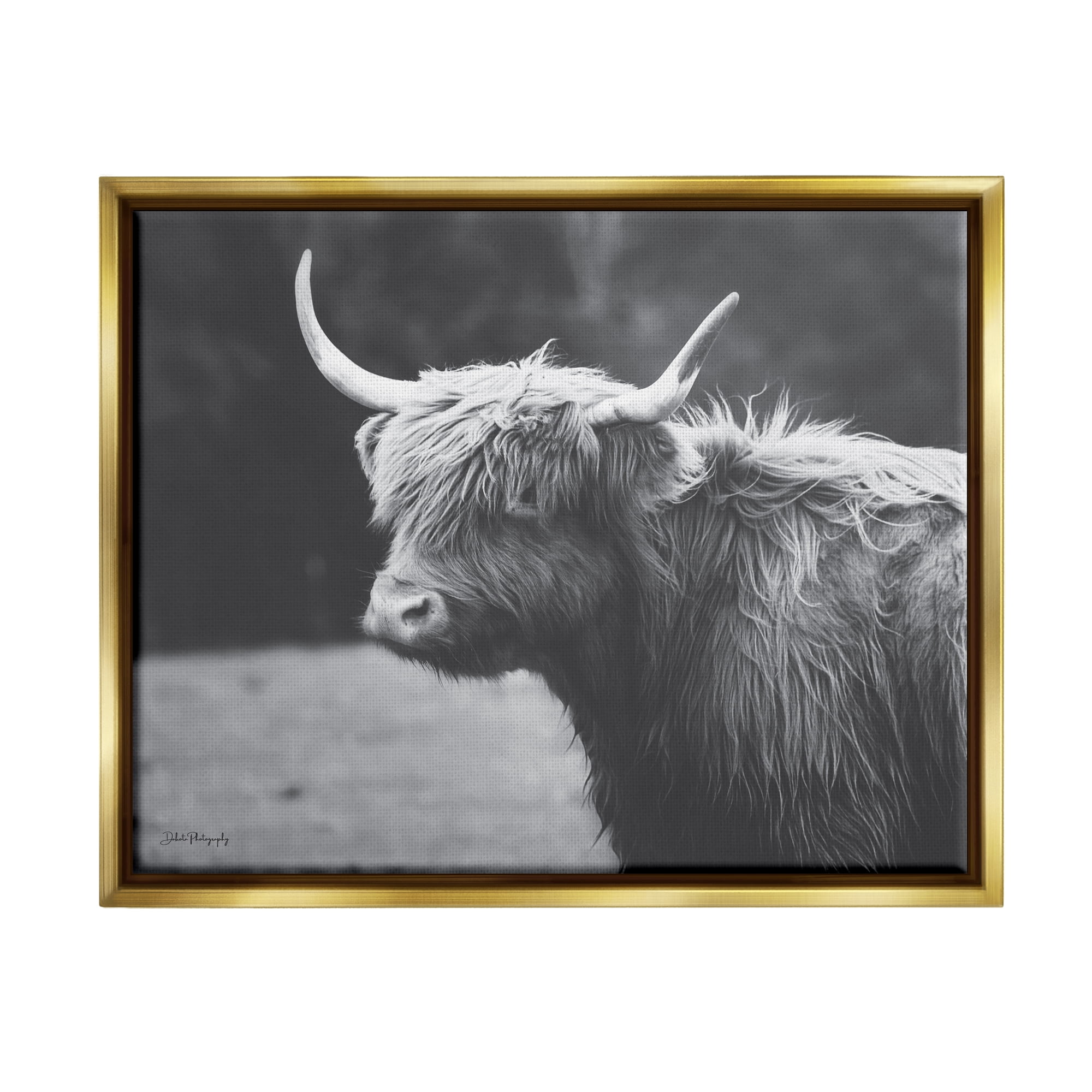 Stupell Country Cattle Highland Farm Animal Animals & Insects Photography Gold Floater Framed Art Print Wall Art