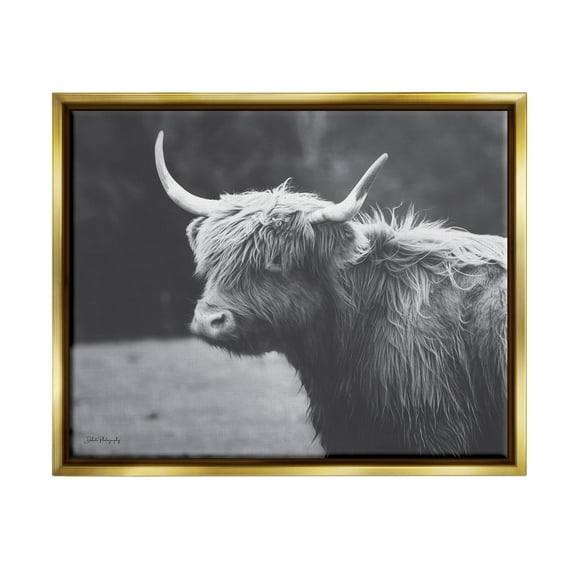 Stupell Country Cattle Highland Farm Animal Animals & Insects Photography Gold Floater Framed Art Print Wall Art