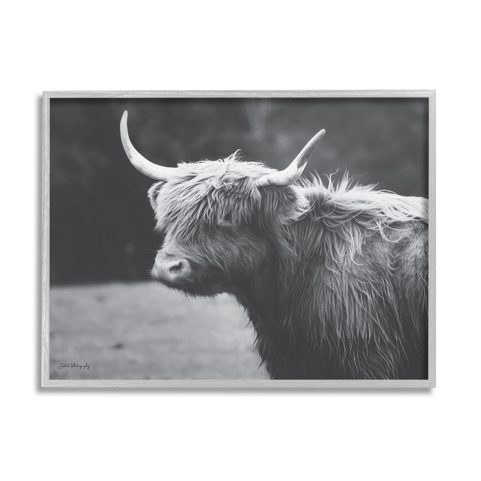 Stupell Country Cattle Highland Farm Animal Animals & Insects Photography Gray Framed Art Print Wall Art