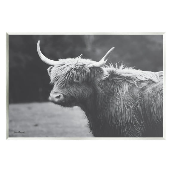 Stupell Country Cattle Highland Farm Animal Animals & Insects Photography Wall Plaque Unframed Art Print Wall Art