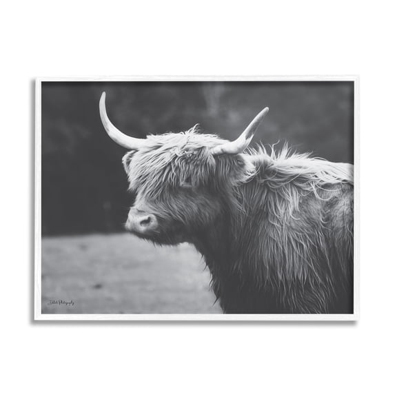 Stupell Country Cattle Highland Farm Animal Animals & Insects Photography White Framed Art Print Wall Art