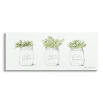 Stupell Country Greenery Succulent Jars Botanical & Floral Painting Gallery Wrapped Canvas Print Wall Art