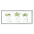 thumbnail image 1 of Stupell Country Greenery Succulent Jars Botanical & Floral Painting Gray Framed Art Print Wall Art, 1 of 7