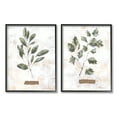 thumbnail image 1 of Stupell Country Herbs Basil Parsley Sprigs Botanical & Floral Painting Black Framed Art Print Wall Art, Set of 2, 1 of 8