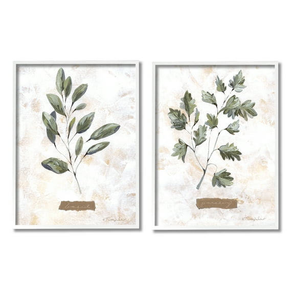 Stupell Country Herbs Basil Parsley Sprigs Botanical & Floral Painting White Framed Art Print Wall Art, Set of 2