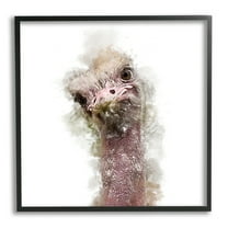 Stupell Curious Ostrich Face Portrait Animals & Insects Painting Black Framed Art Print Wall Art