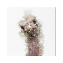 Stupell Curious Ostrich Face Portrait Animals & Insects Painting Gallery Wrapped Canvas Print Wall Art