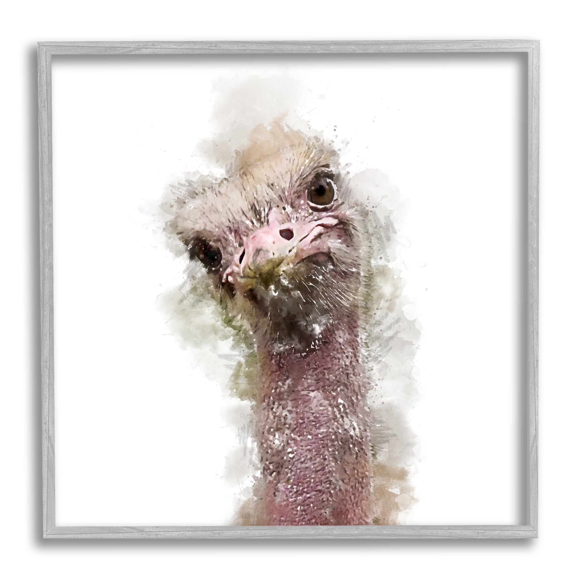 Stupell Curious Ostrich Face Portrait Animals & Insects Painting Gray Framed Art Print Wall Art