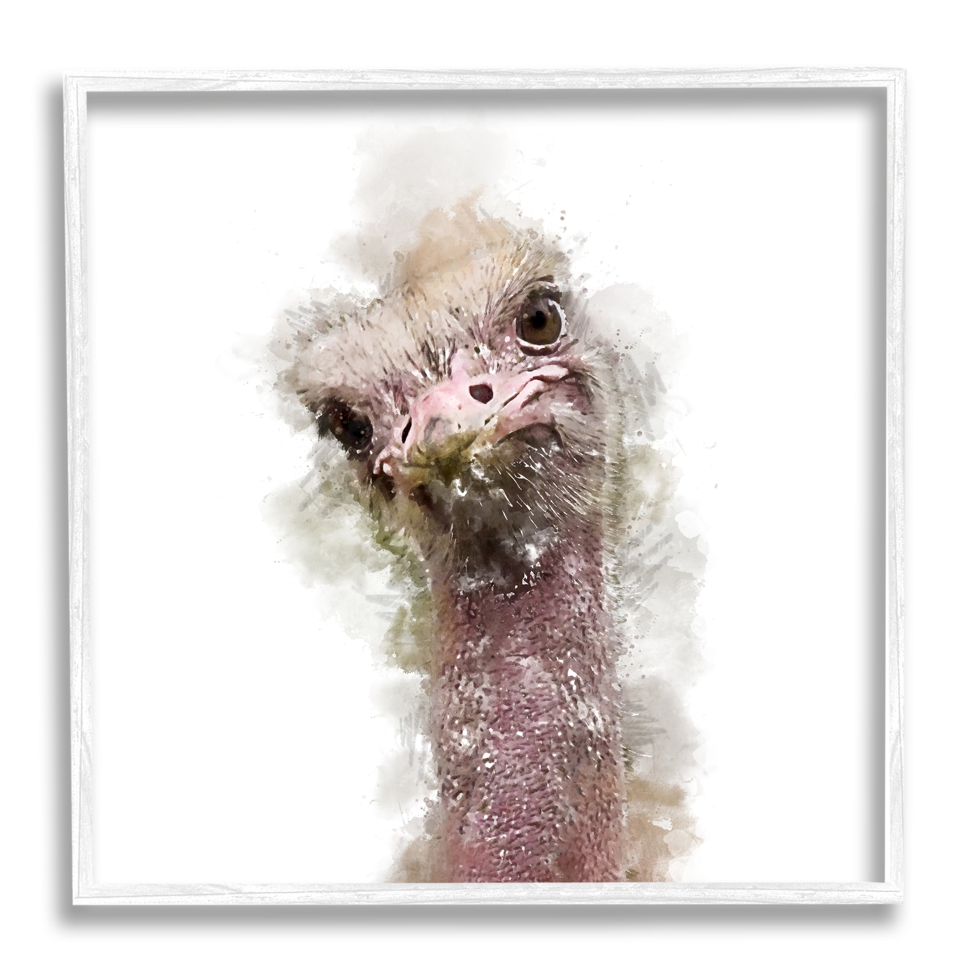 Stupell Curious Ostrich Face Portrait Animals & Insects Painting White Framed Art Print Wall Art