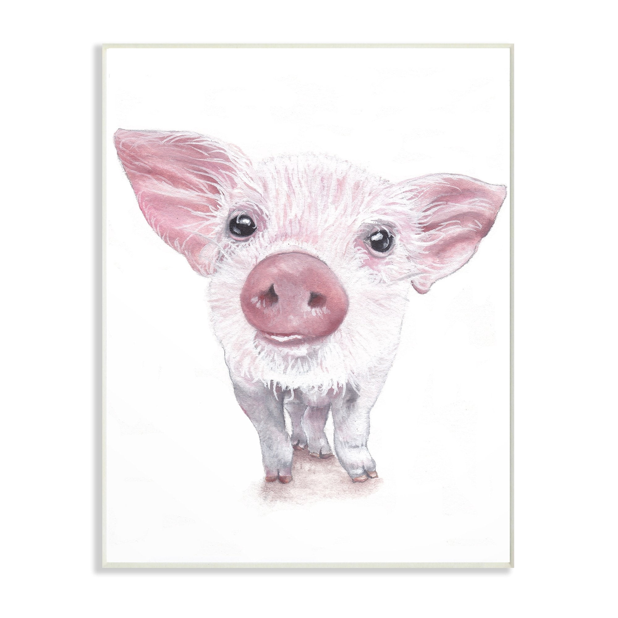 Stupell Cute Baby Piglet Up Close Illustration, Wall Plaque, 10 x 0.5 x 15, A 10 x 15