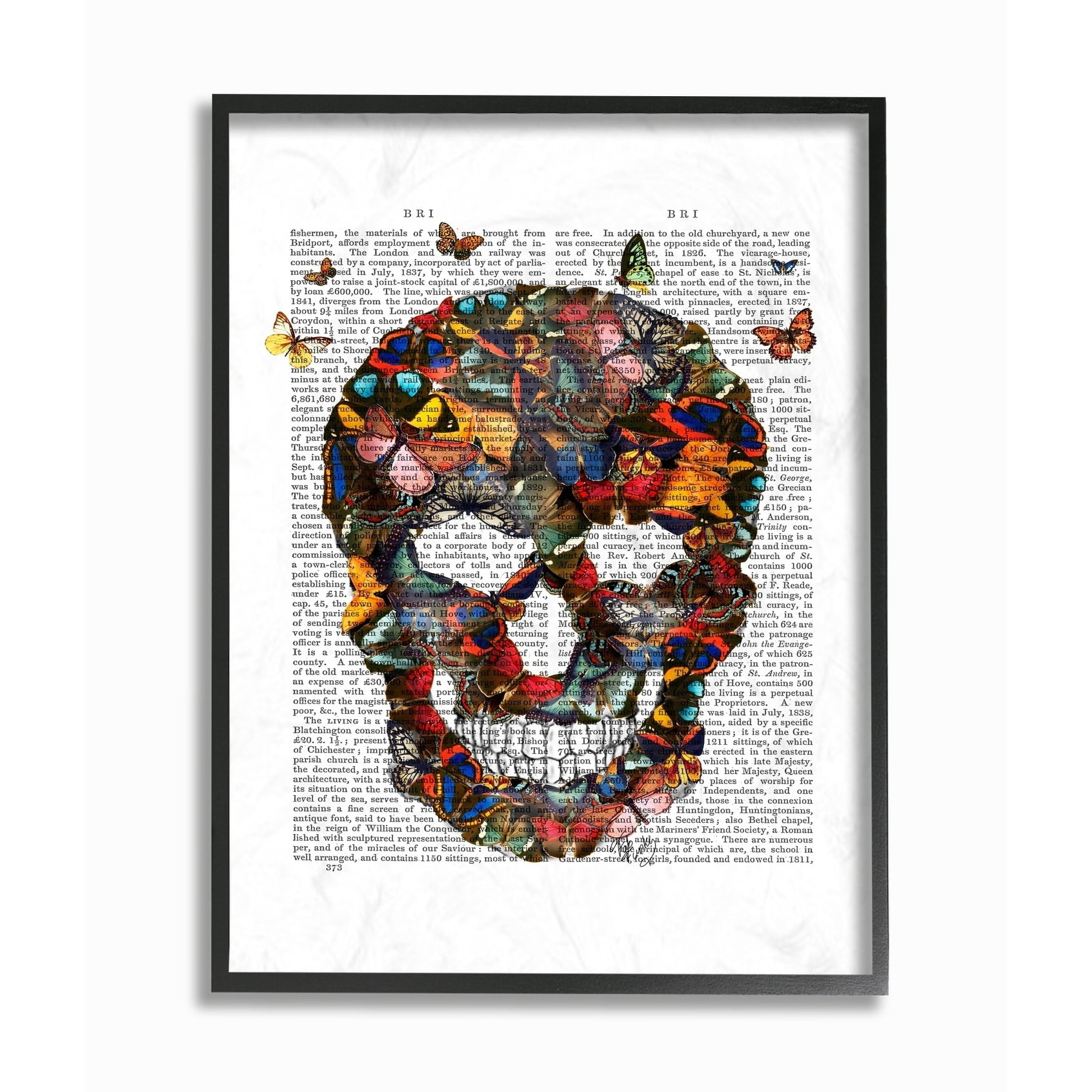 Stupell Dark Rainbow Skull of Butterflies Framed Art, Design By Artist Fab Funky - Multi-color 16 x 20