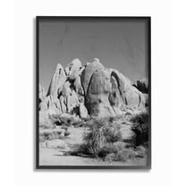 Stupell Desert Landscape Photography Framed Giclee Texture Art 11 x 14