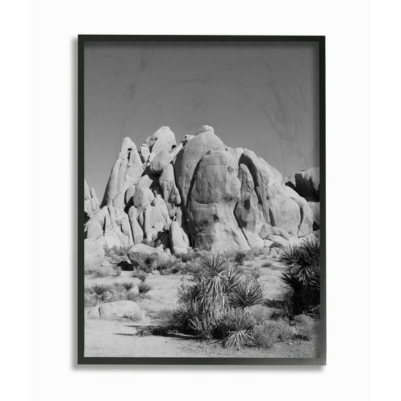 Stupell Desert Landscape Photography Framed Giclee Texture Art 11 x 14