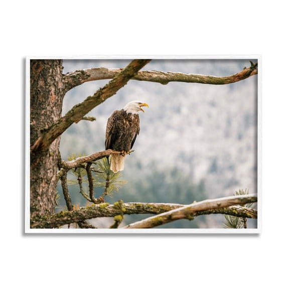 Stupell Eagle Perched Forest Tree Branches Animals & Insects Photography White Framed Art Print Wall Art