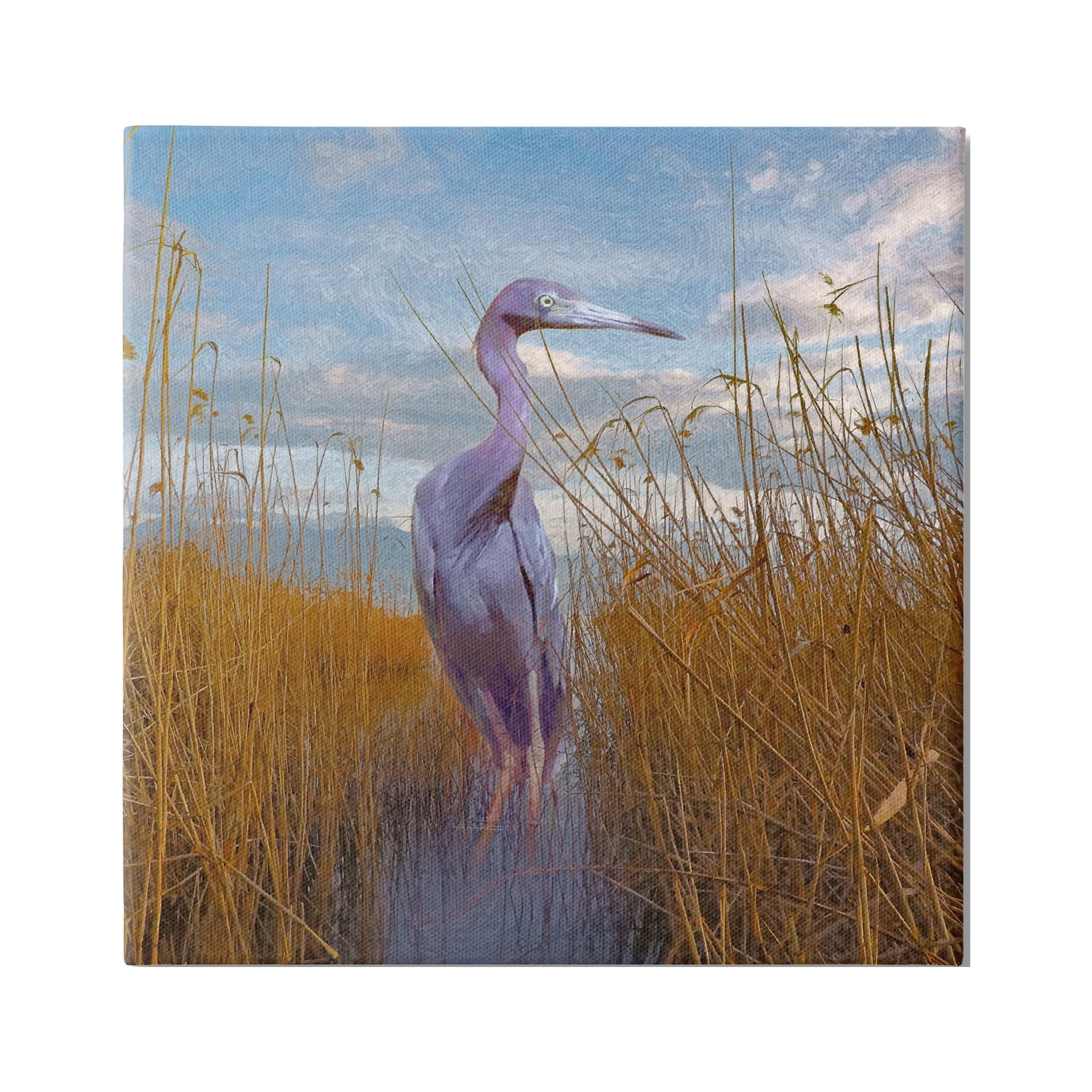 Stupell Egret Beach Reeds Coastal Grasses Landscape Painting Gallery Wrapped Canvas Print Wall Art